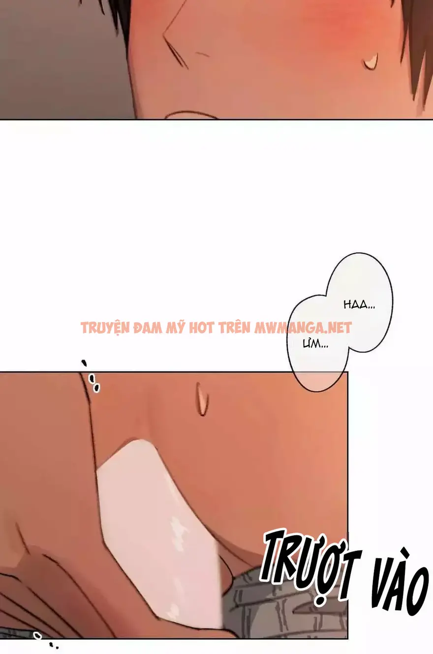 Trang 25