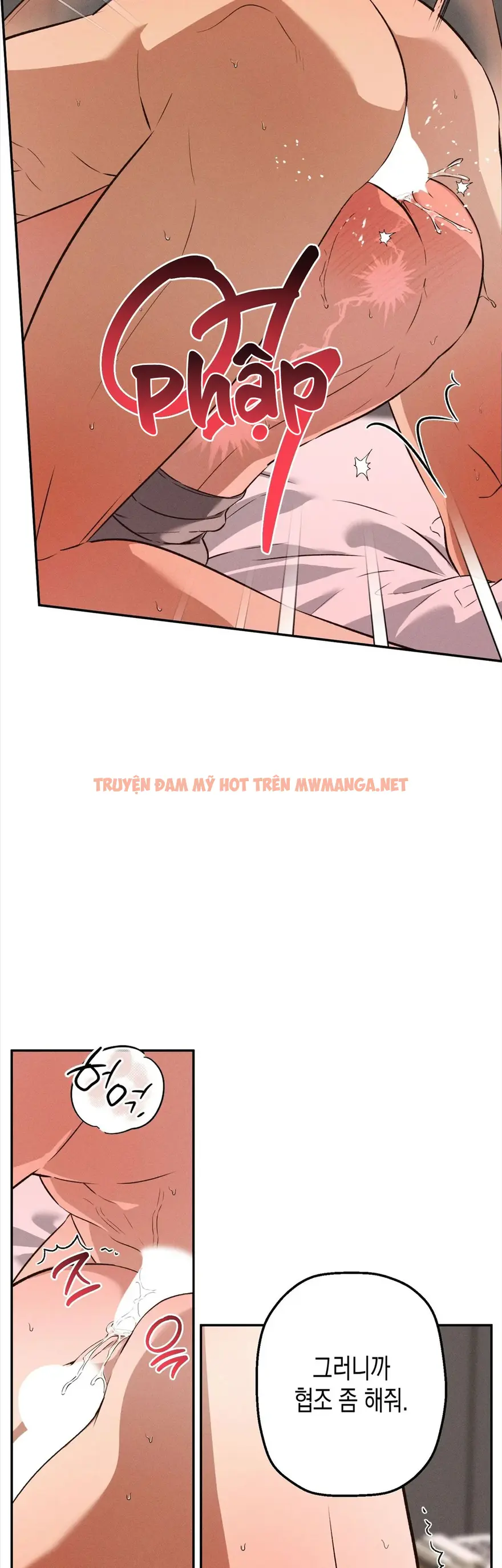 Trang 43