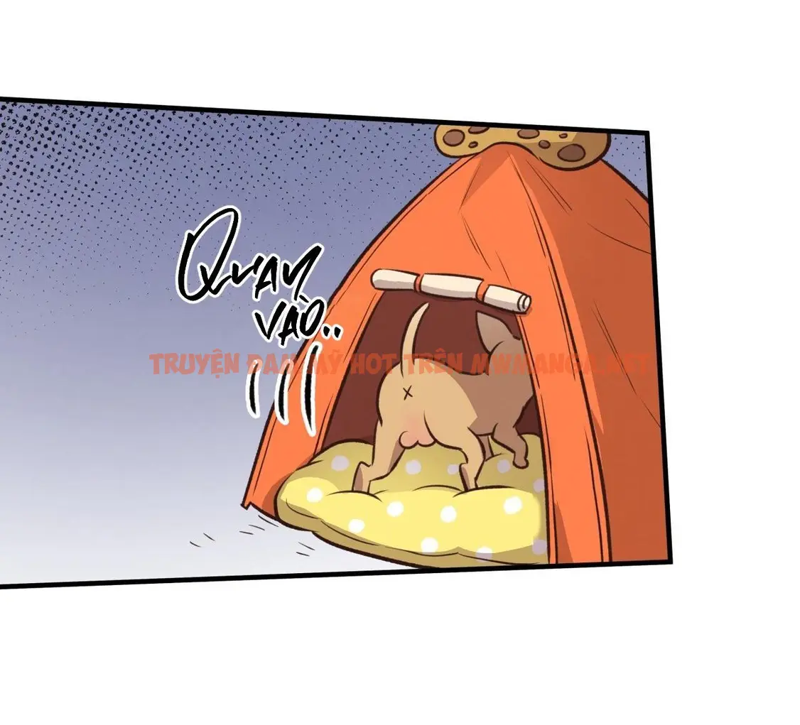 Trang 68