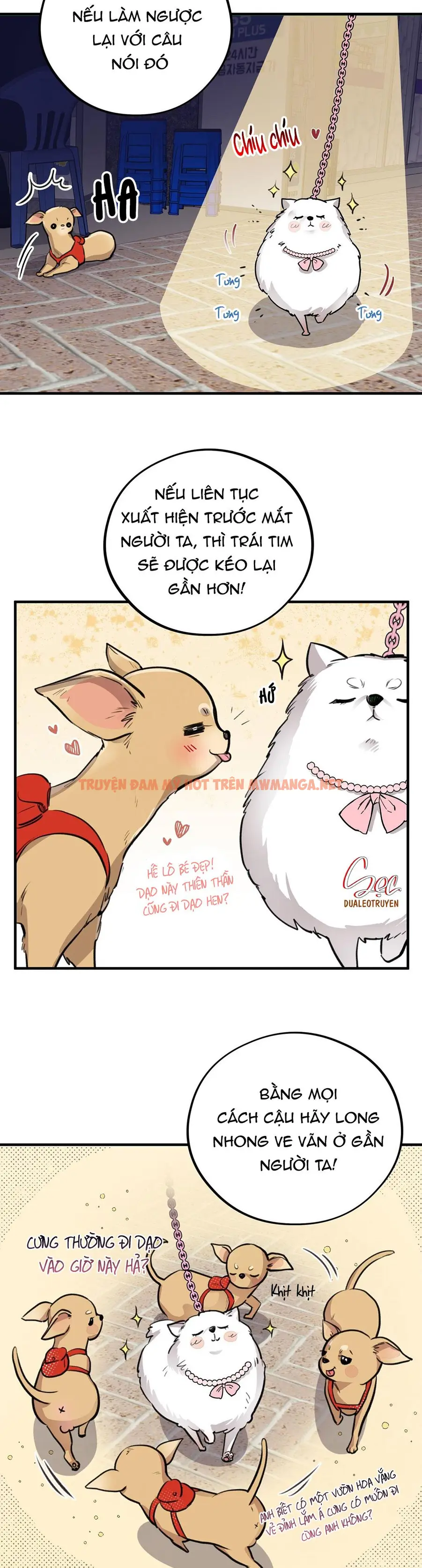 Trang 19