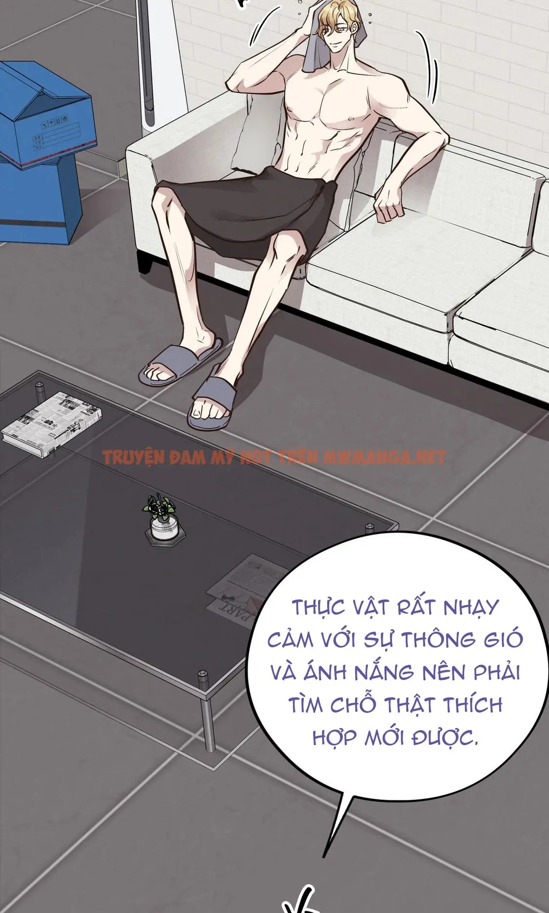 Trang 31
