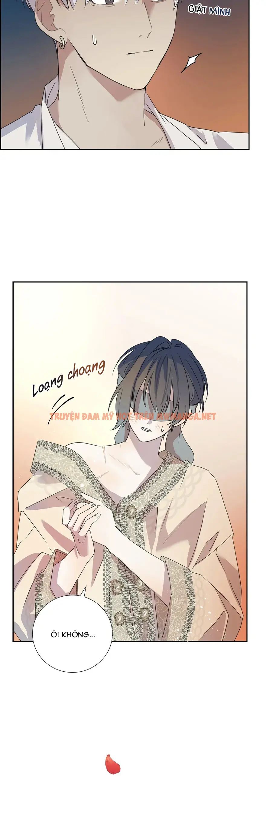 Trang 12