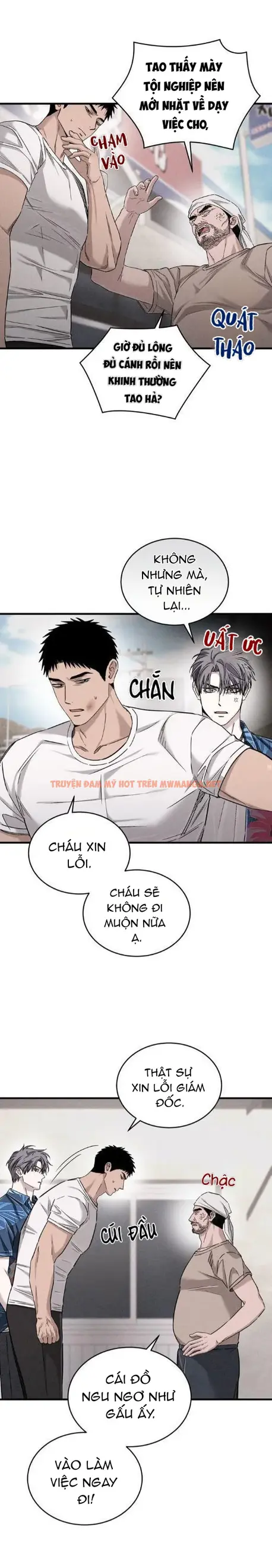 Trang 15
