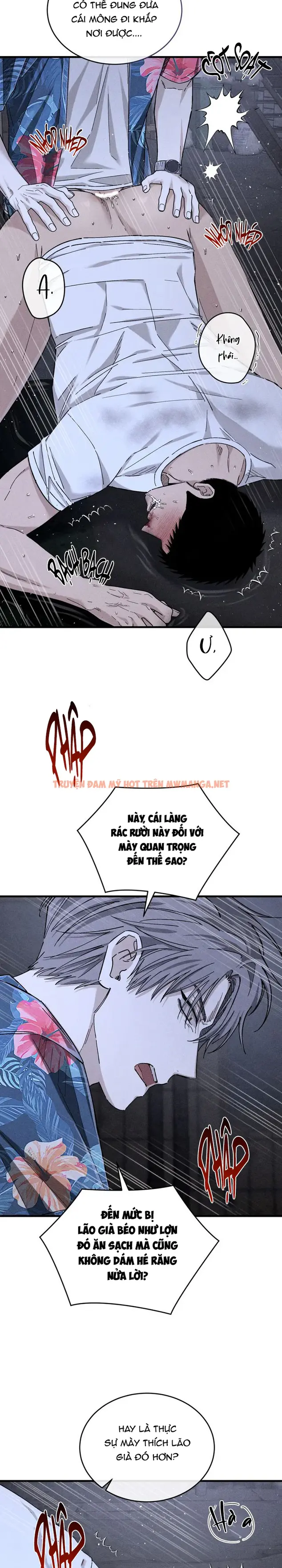 Trang 21