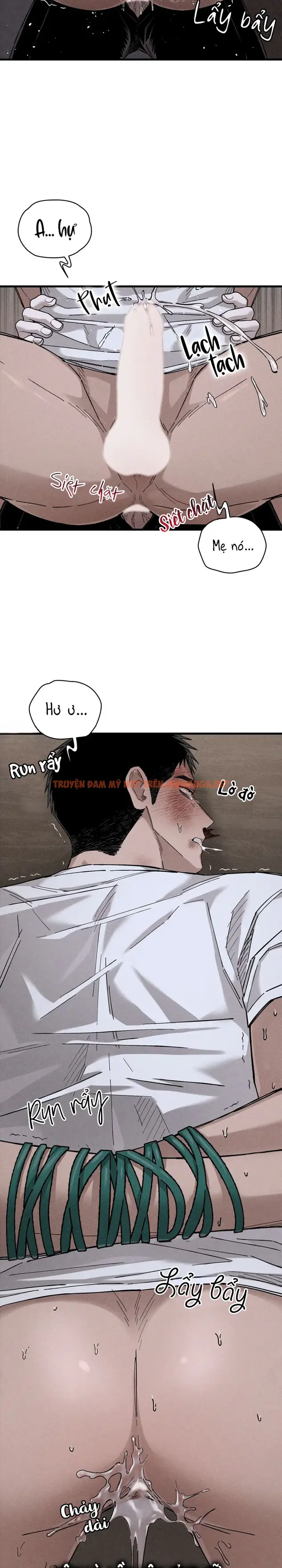 Trang 30