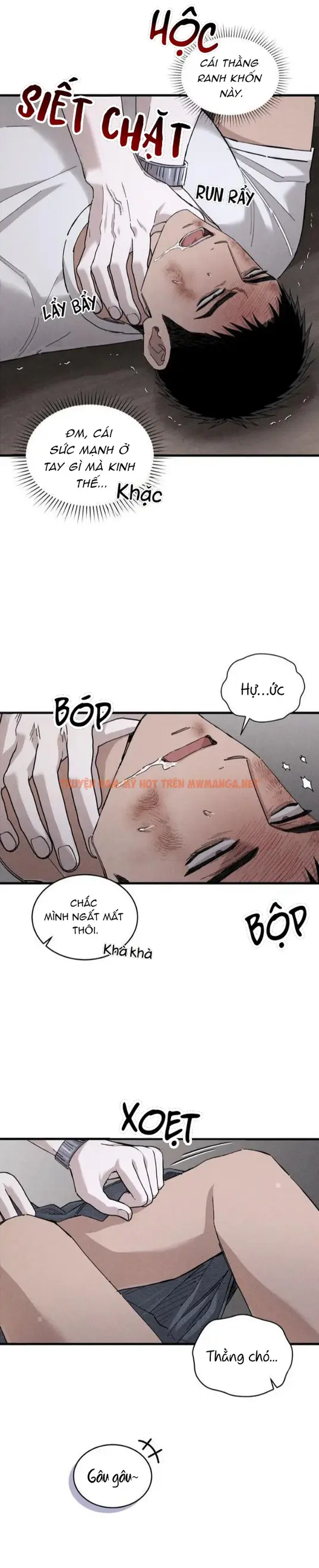 Trang 5