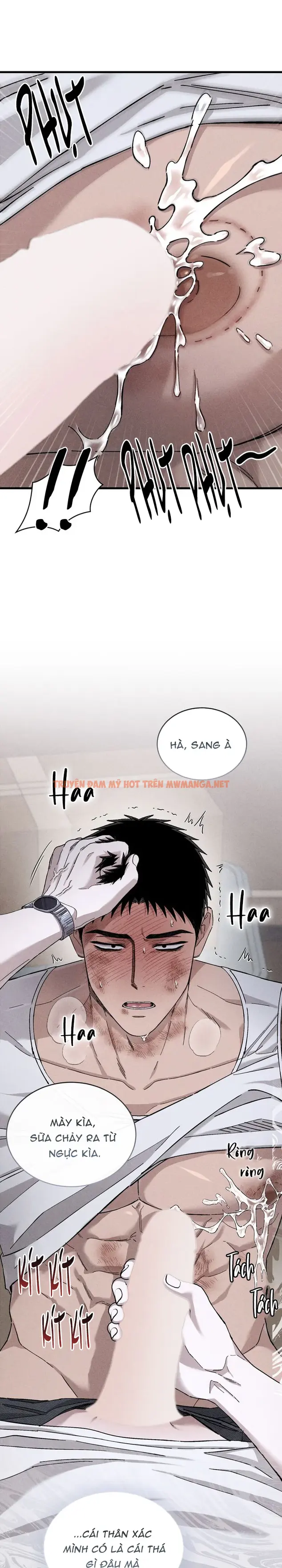 Trang 26