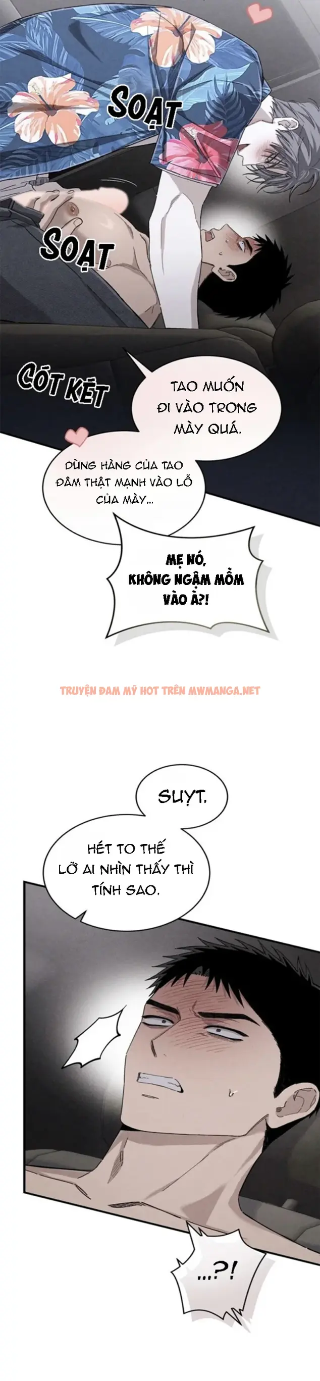 Trang 15