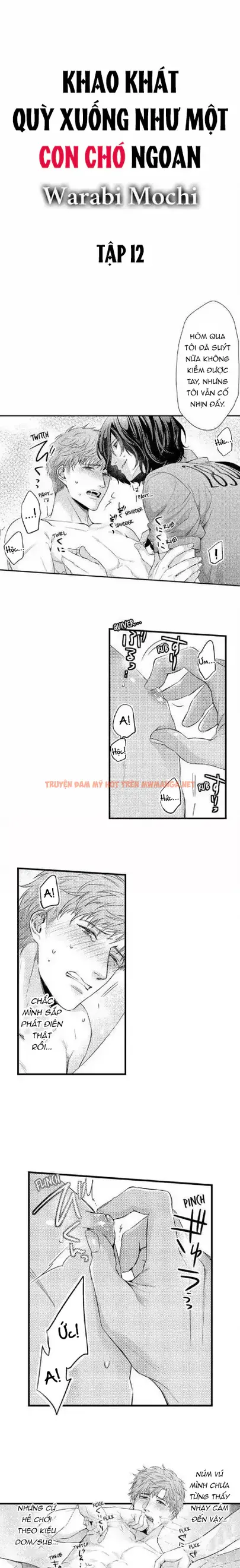 Khao Khát Quỳ Xuống Như Một Con Chó Ngoan - Chapter 12