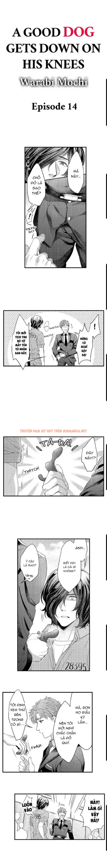 Khao Khát Quỳ Xuống Như Một Con Chó Ngoan - Chapter 14