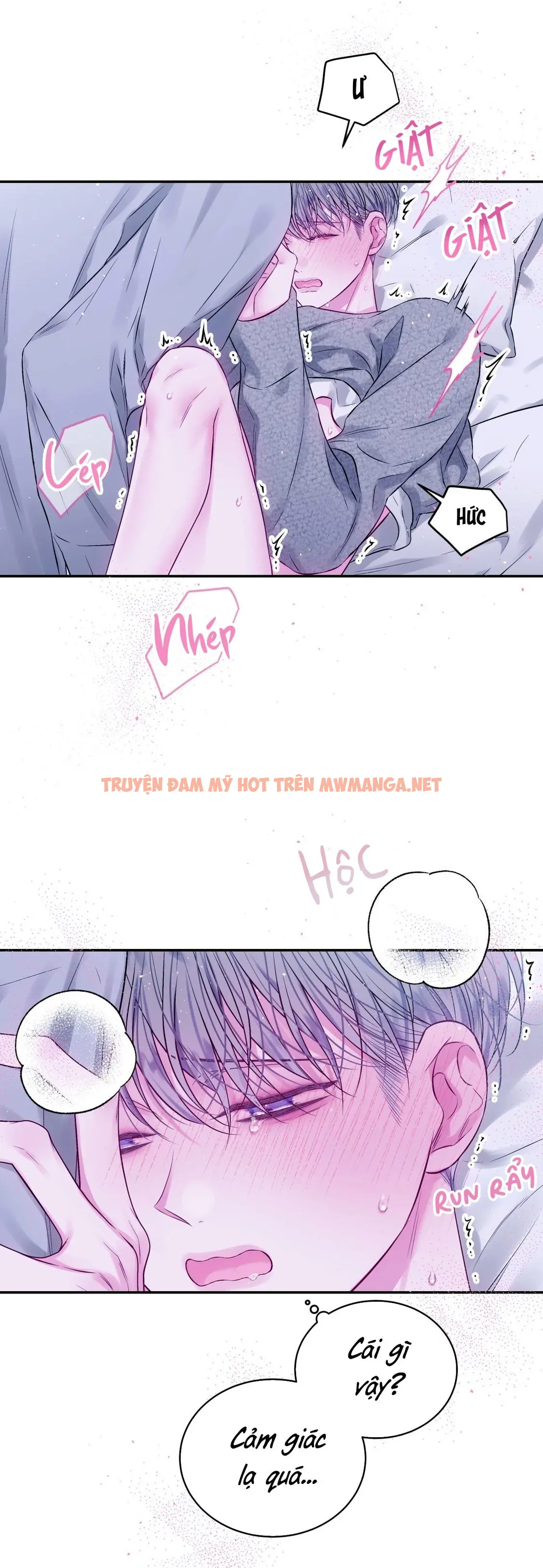 Trang 15