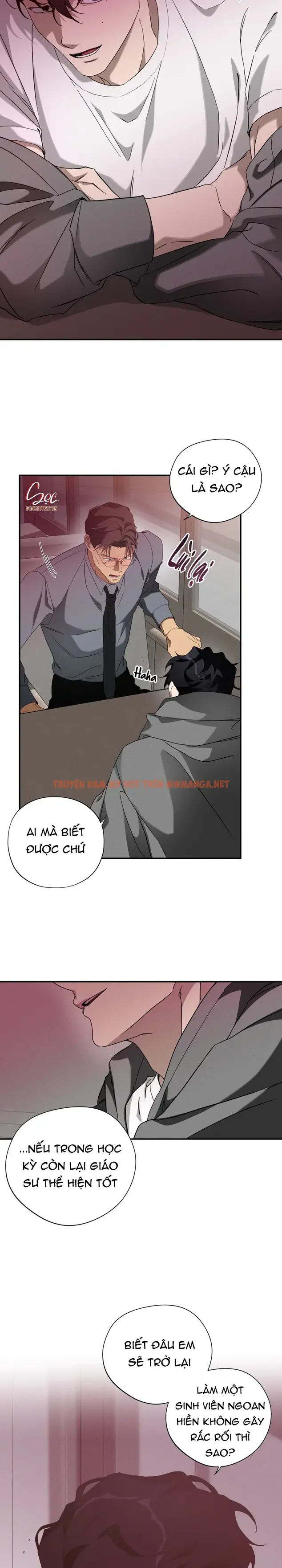 Trang 19