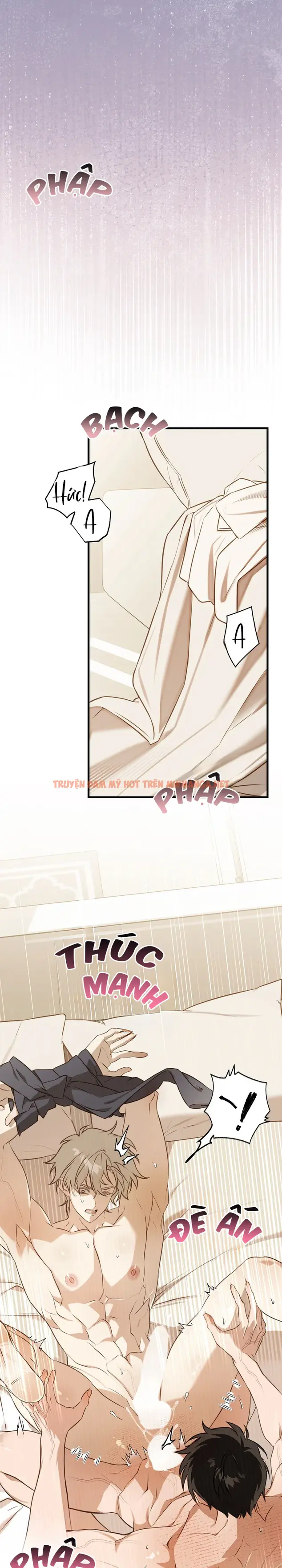 Lừa Dối Hay Chân Thành - Chapter 11