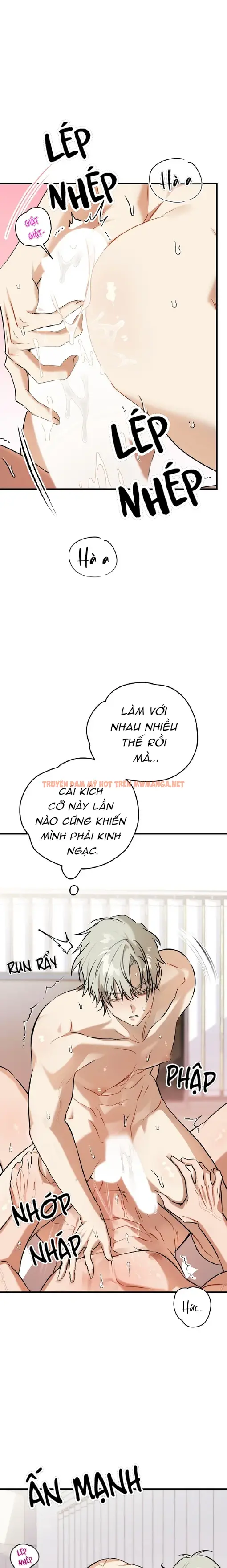 Lừa Dối Hay Chân Thành - Chapter 4