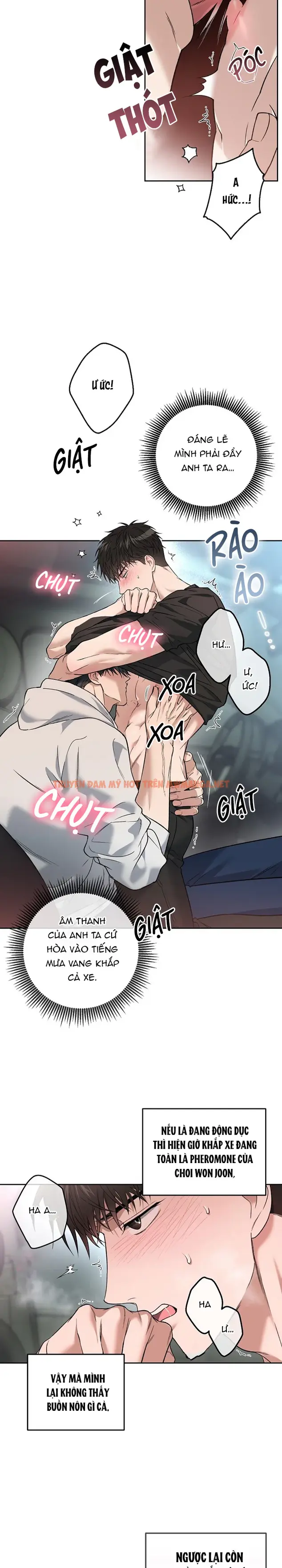 Trang 19