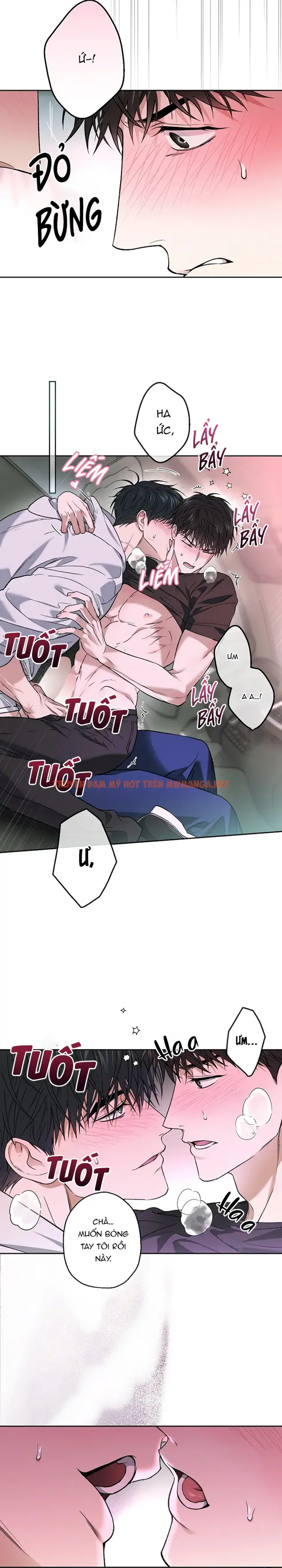 Trang 24