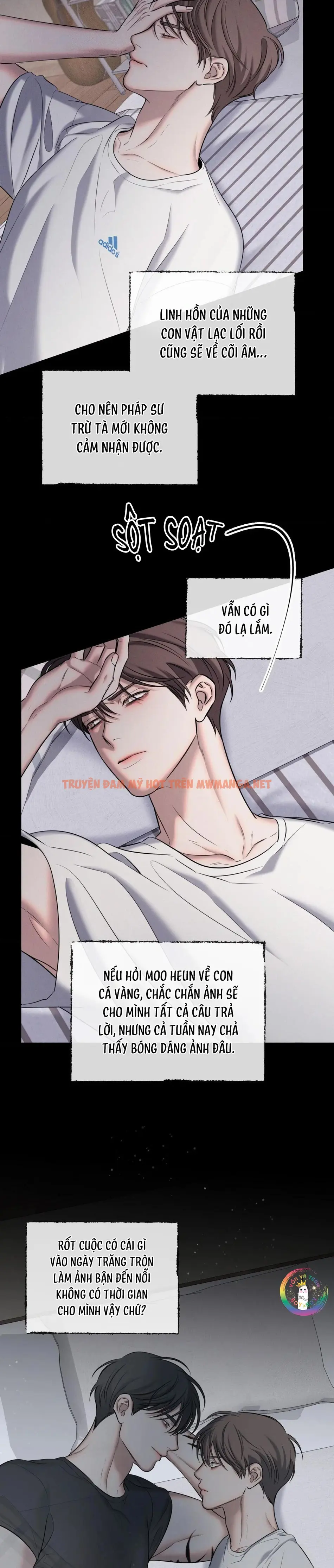Trang 20