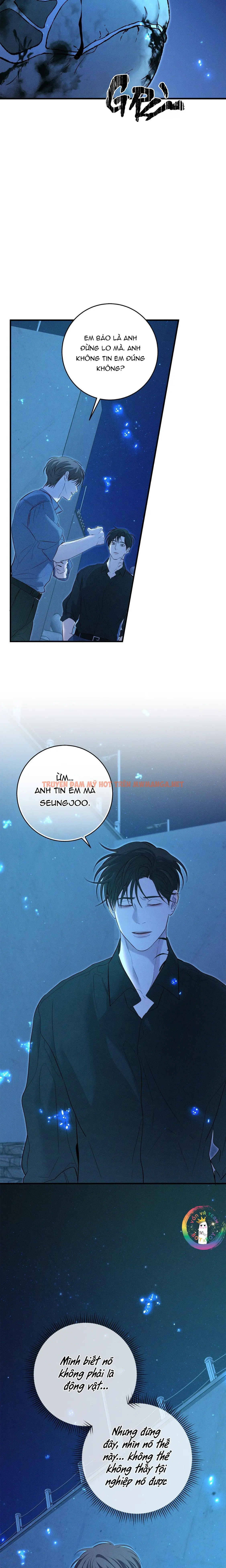 Trang 13
