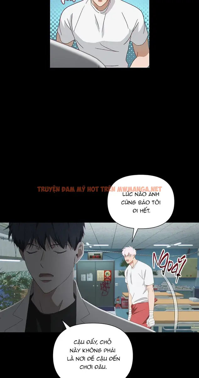 Trang 53
