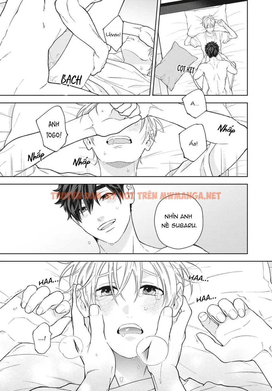 Trang 29
