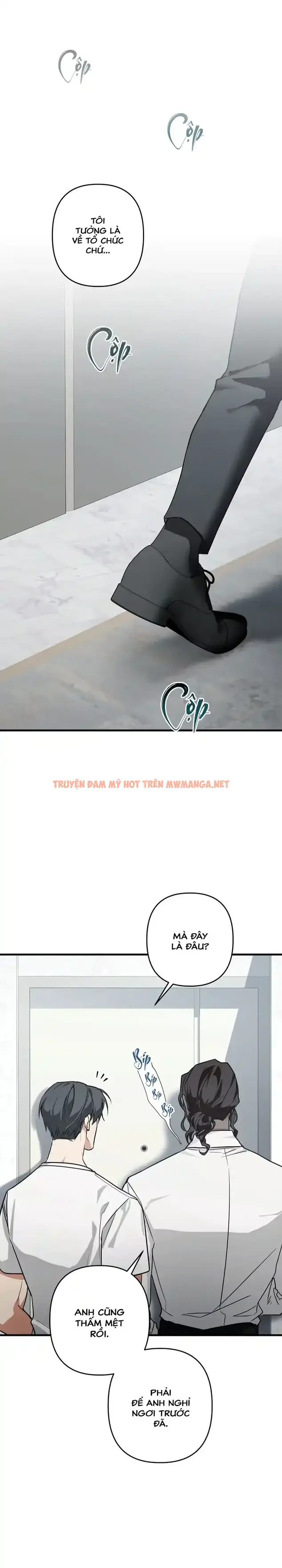 Người Cố Vấn Hoàn Mỹ - Chapter 5