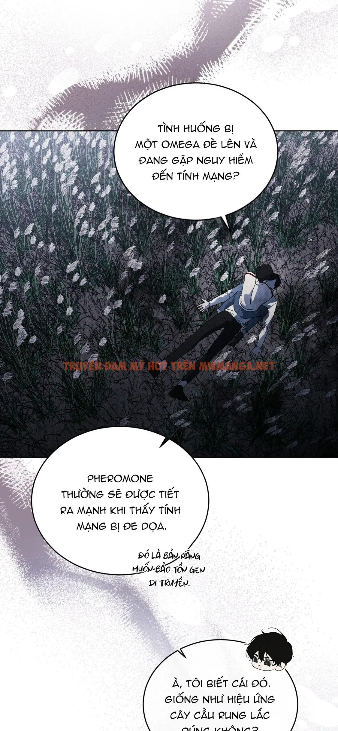 Trang 62