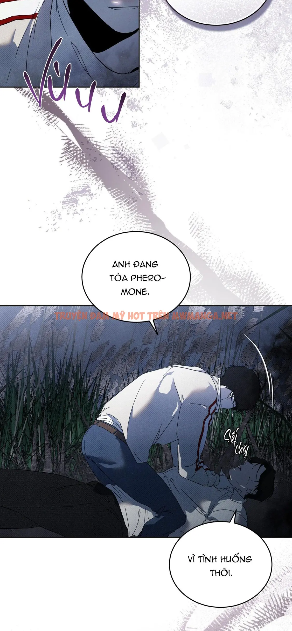 Trang 61