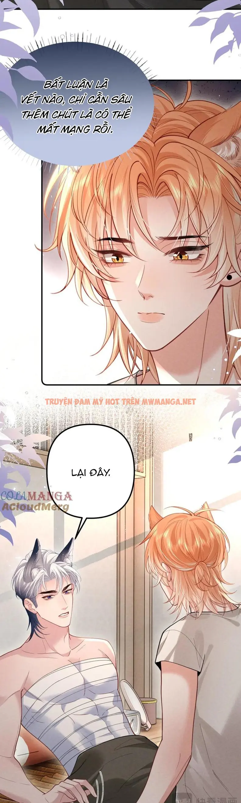 Trang 16
