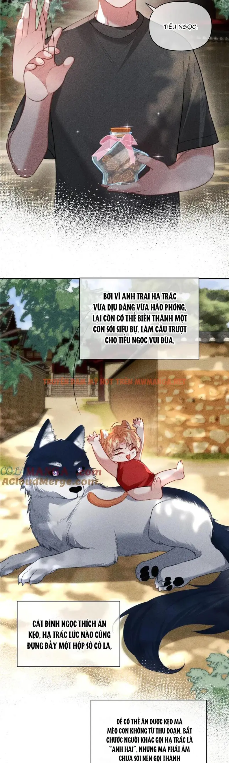 Trang 16