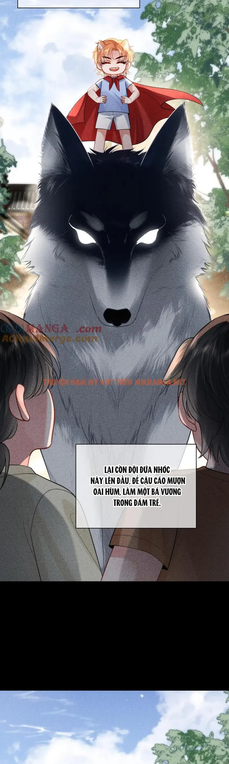 Trang 19