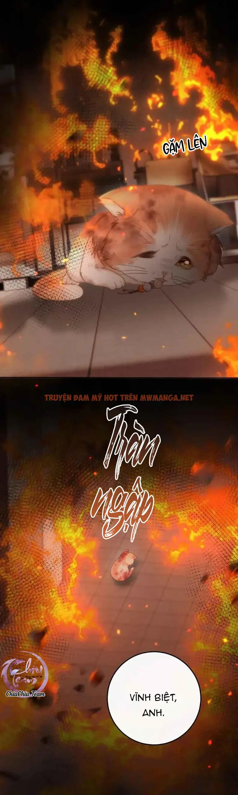 Trang 14