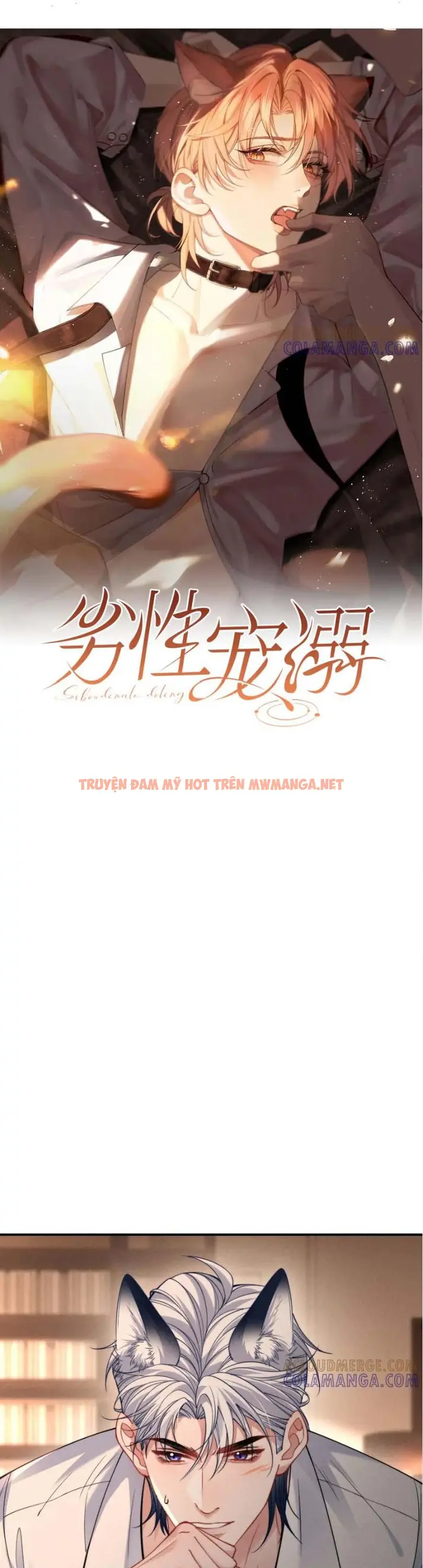 Nuông Chiều Sinh Hư - Chapter 50