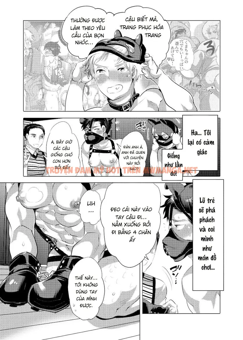 Trang 5