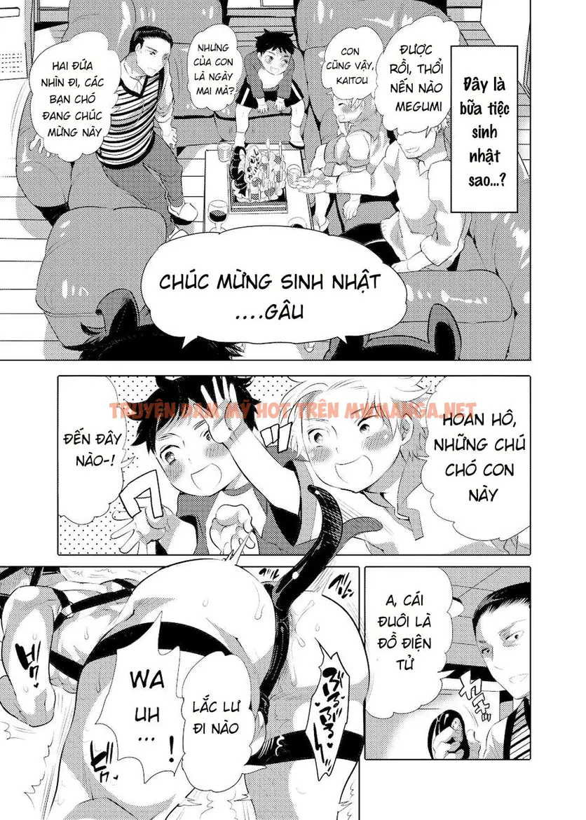 Trang 7