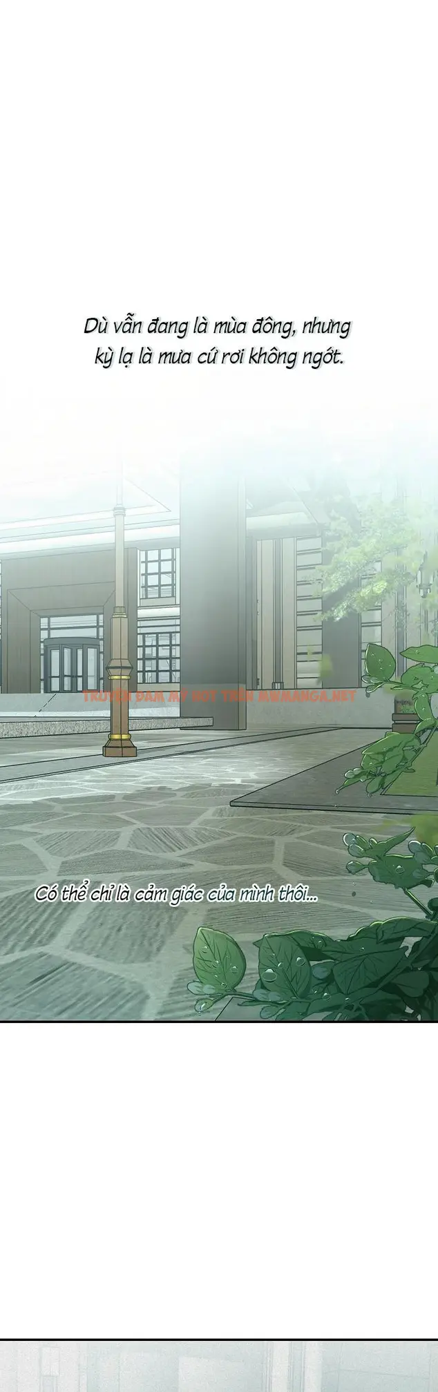 Phép Chiếu - Chapter 31