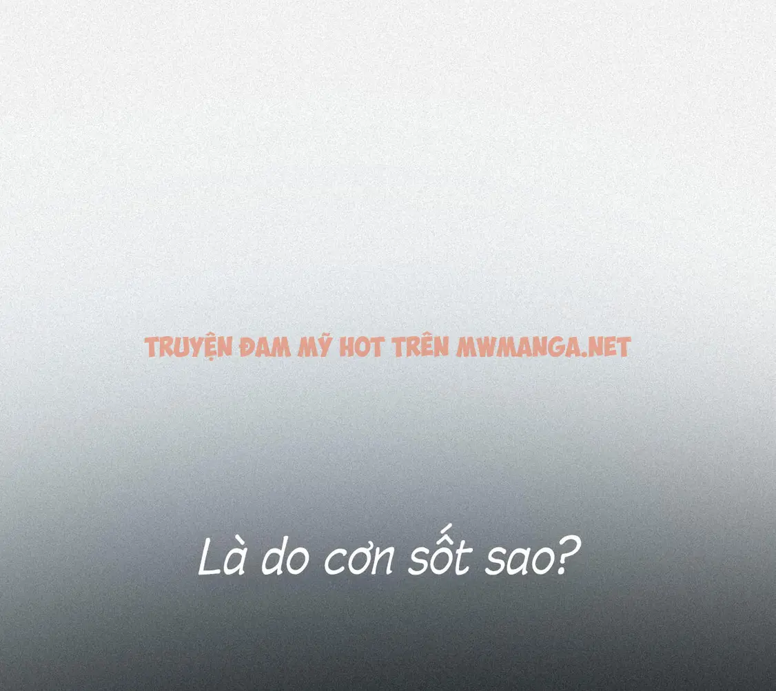 Phép Chiếu - Chapter 40