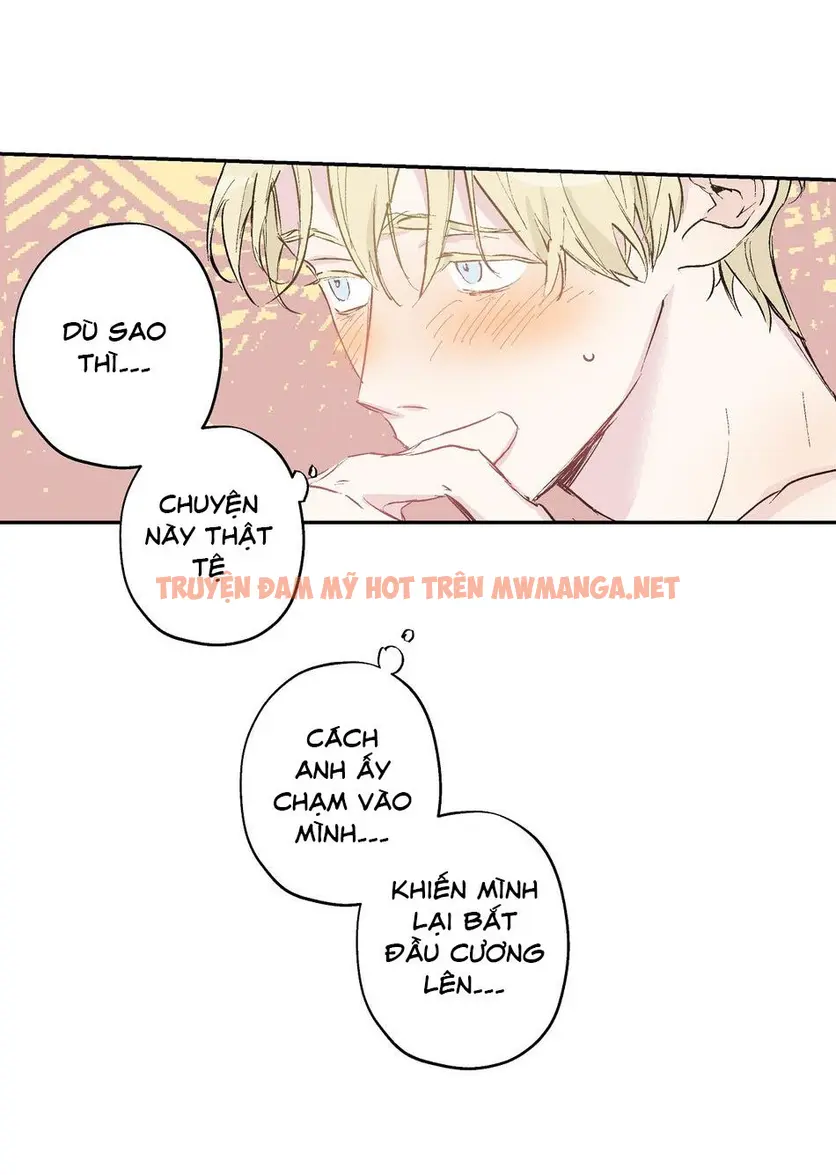 Trang 15