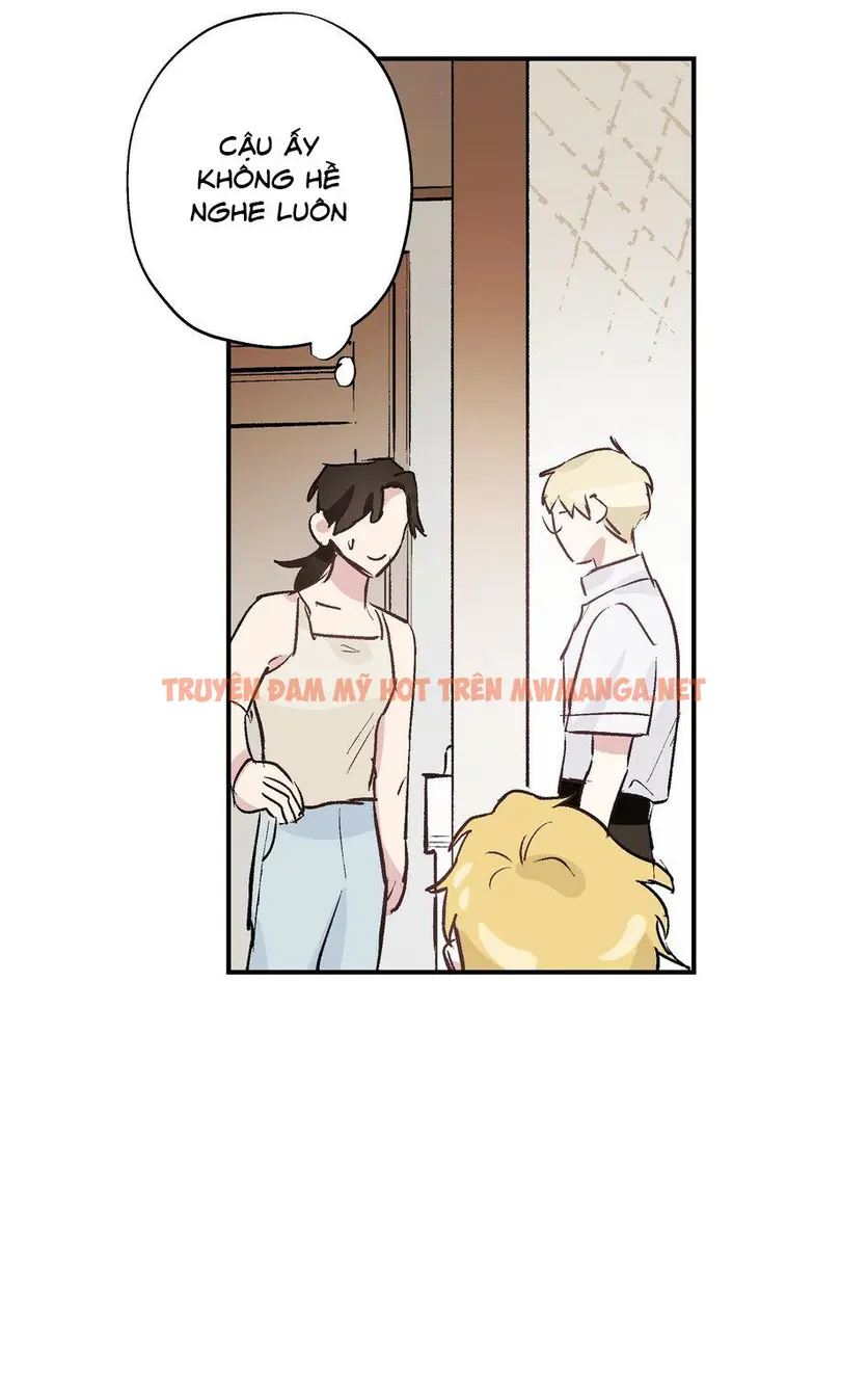 Trang 40