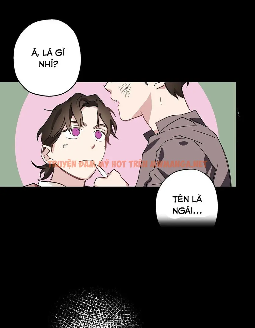 Trang 51