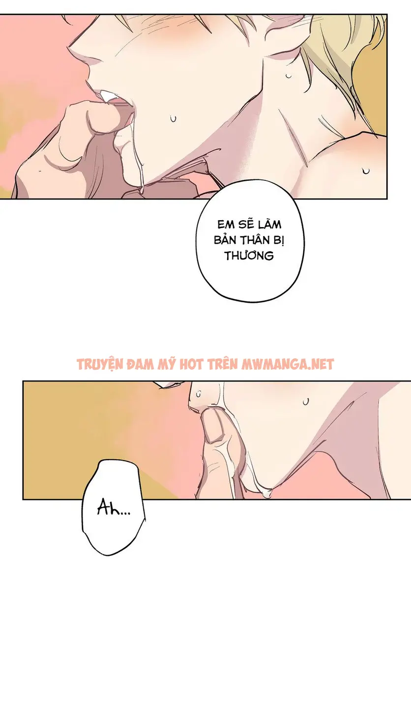 Trang 48