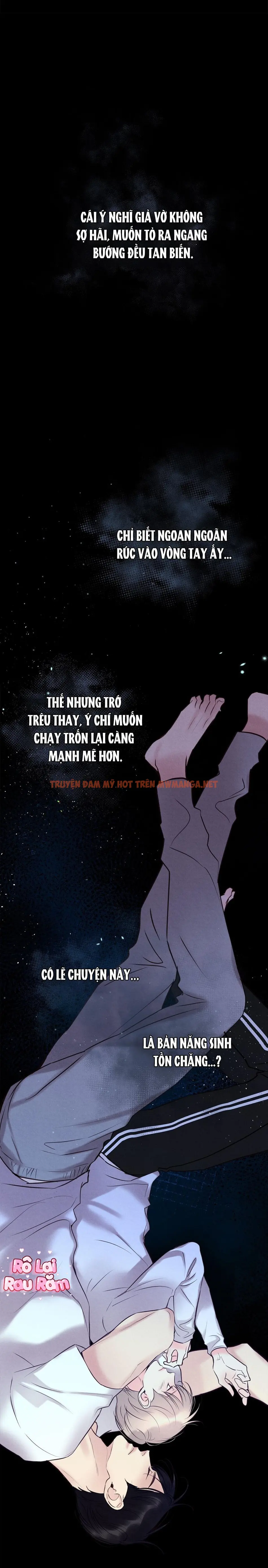 Trang 15