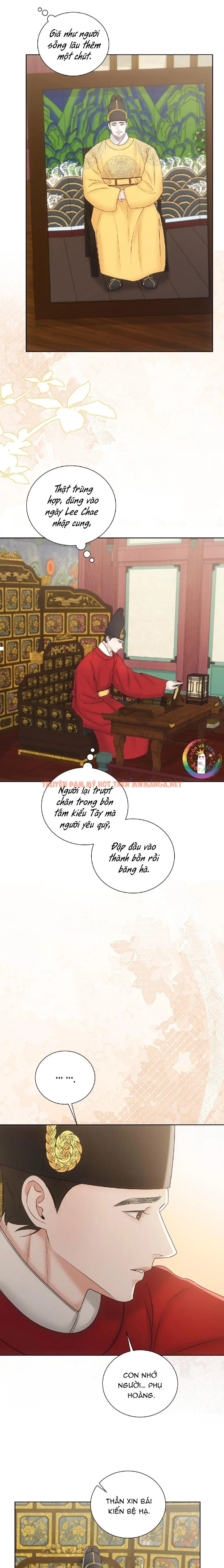 Trang 17