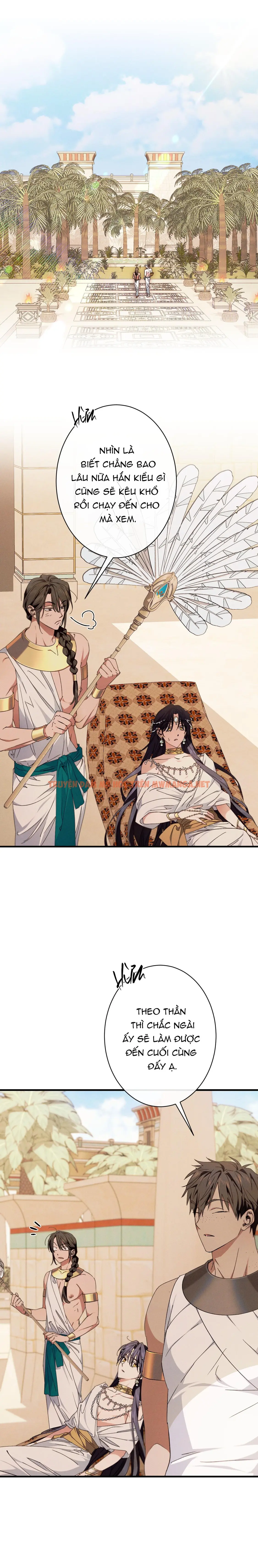 Rắn Nuốt Lựu - Chapter 16