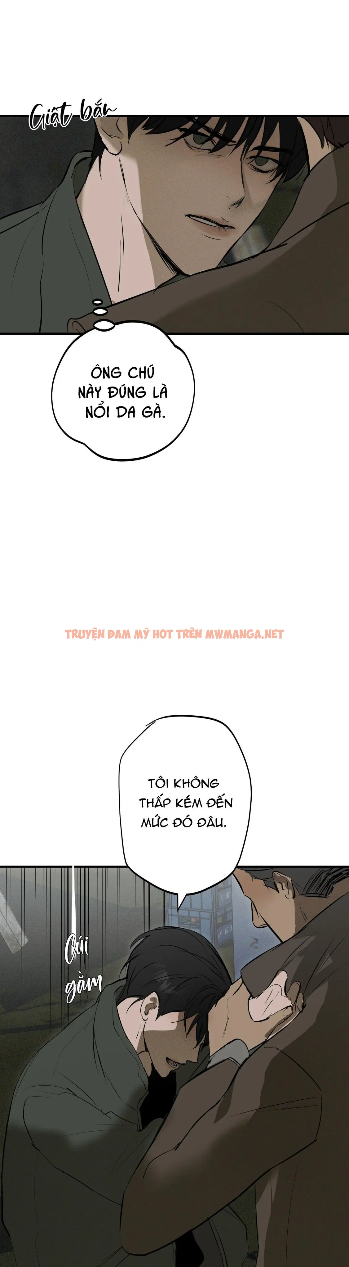 Trang 25