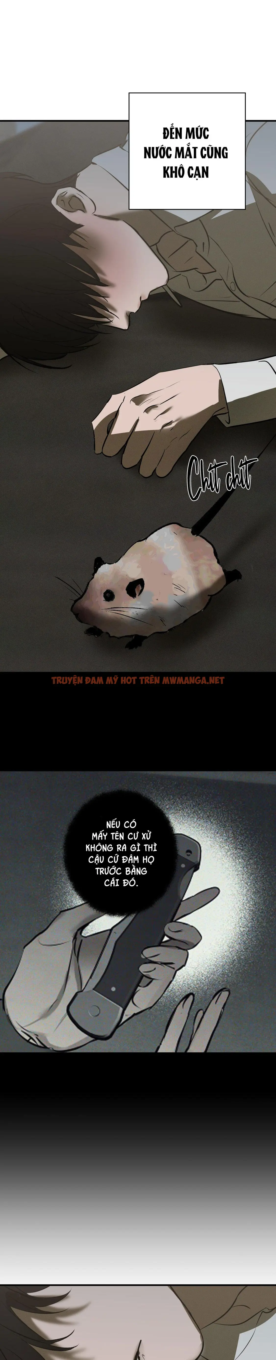 Trang 22
