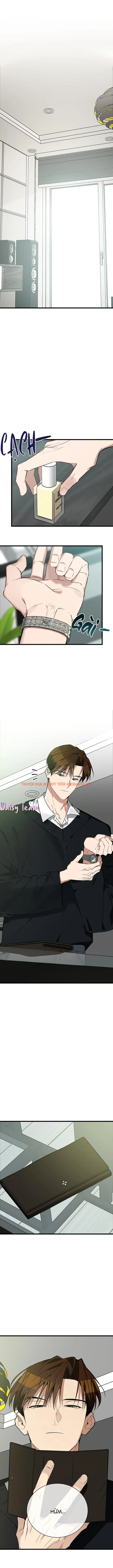 Sinh Mèo Con Cho Tôi Mau Trước Khi Thằng Này Điên Lên - Chapter 5