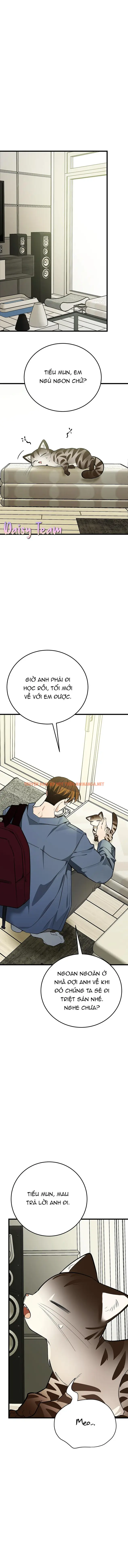 Sinh Mèo Con Cho Tôi Mau Trước Khi Thằng Này Điên Lên - Chapter 9