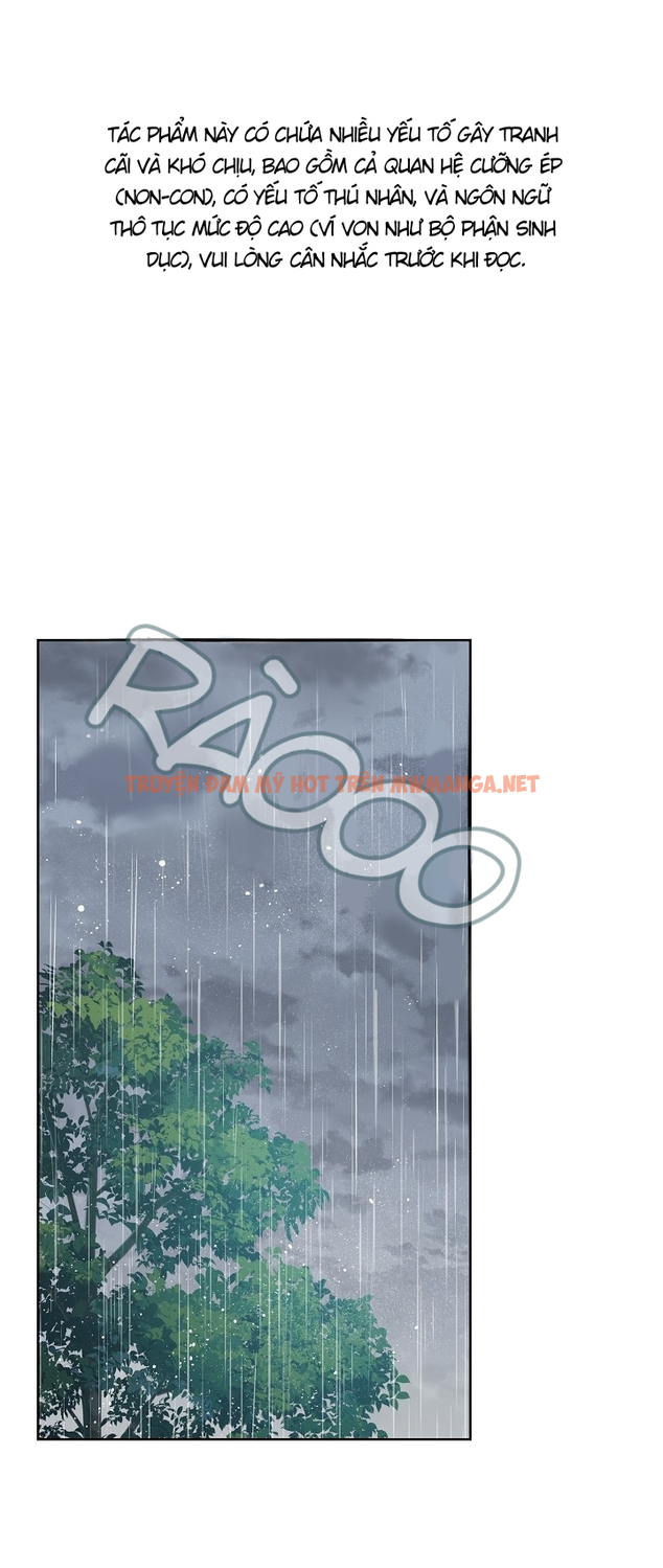 Snake Hole - Chapter 11