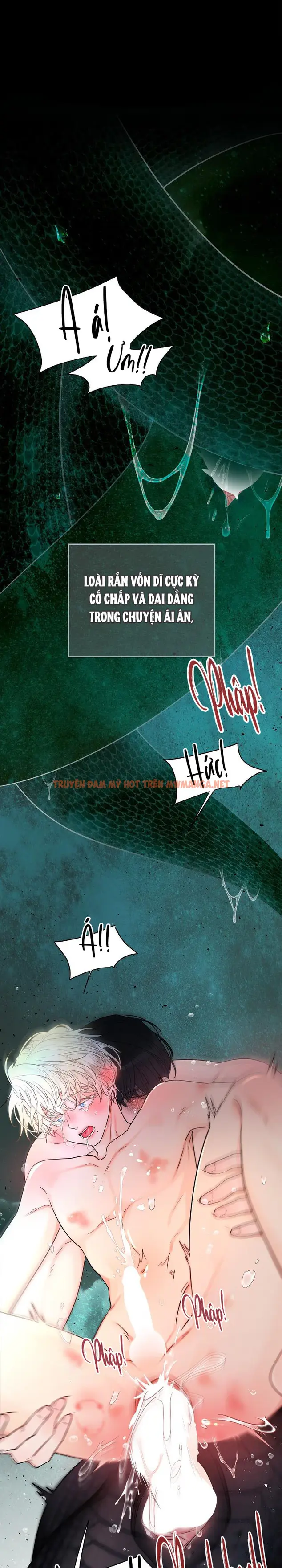 Snake Hole - Chapter 28