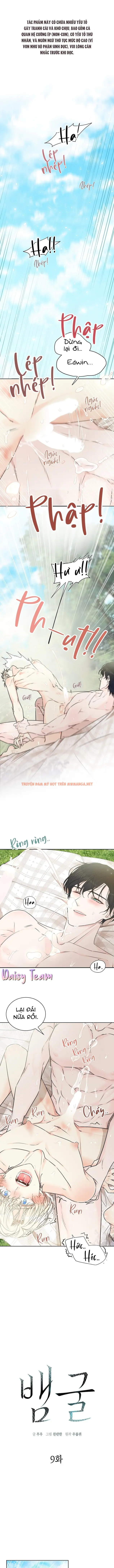 Snake Hole - Chapter 9